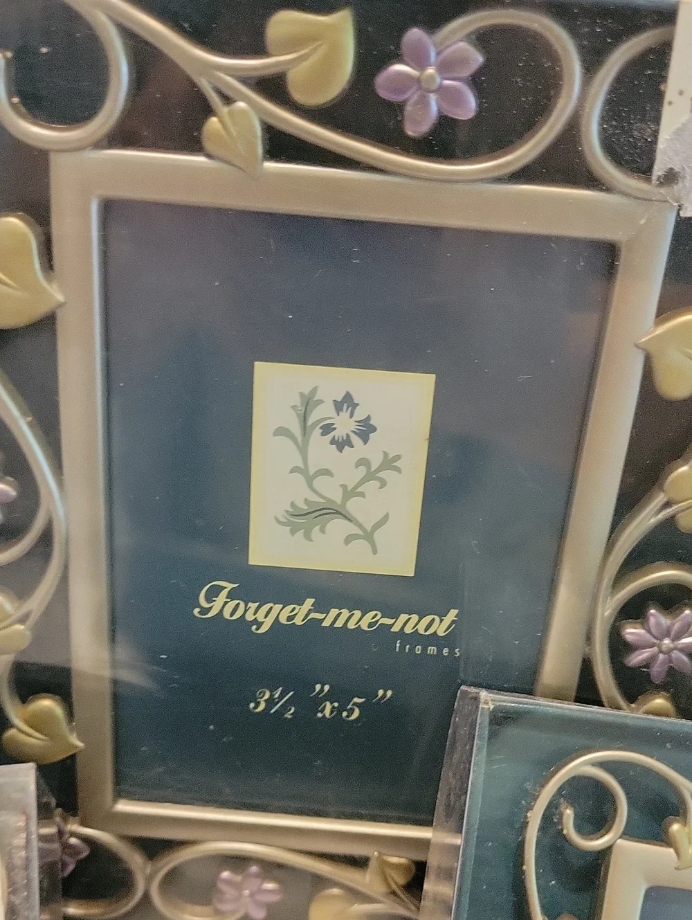Forget Me Not Frame Lot